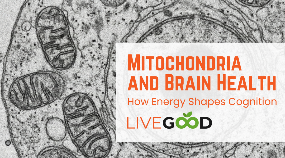 Mitochondria and Brain Health: How Energy Shapes Cognition
